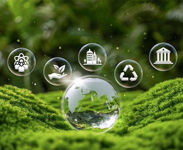 Environmental Factors & Health